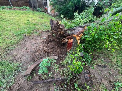 Storm Damage